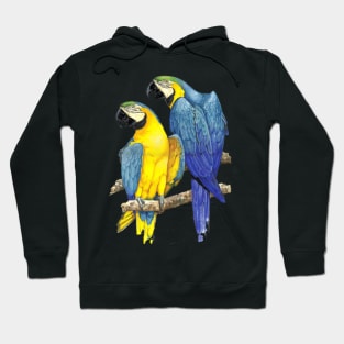 Brazilian Parrot Hoodie